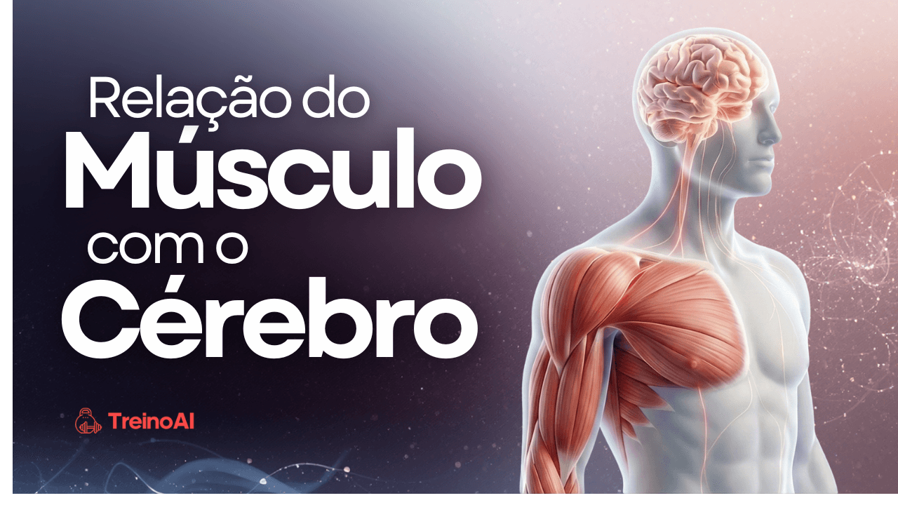 A Relação do Músculo com o Cérebro